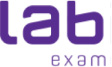 Logo Lab Exam